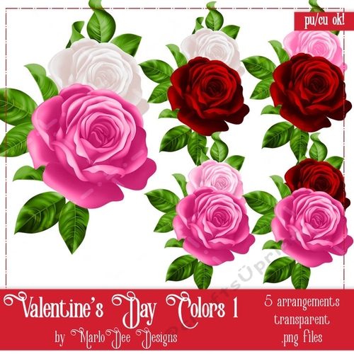 Valentines Day Colors 1 - Roses Floral Arrangements Package 1