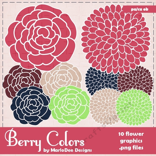 Berry Colors Rose & Pom Flower Graphics