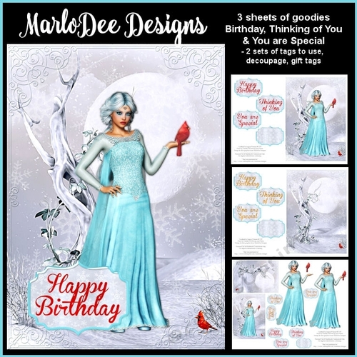 Fantasy Winter Woman with Cardinal - Birthday, Thinking of You & More Card Mini Kit