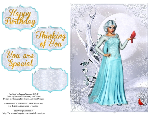 Fantasy Winter Woman with Cardinal - Birthday, Thinking of You & More Quick Card 2