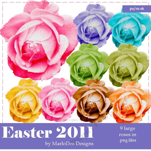 Easter Roses package 2