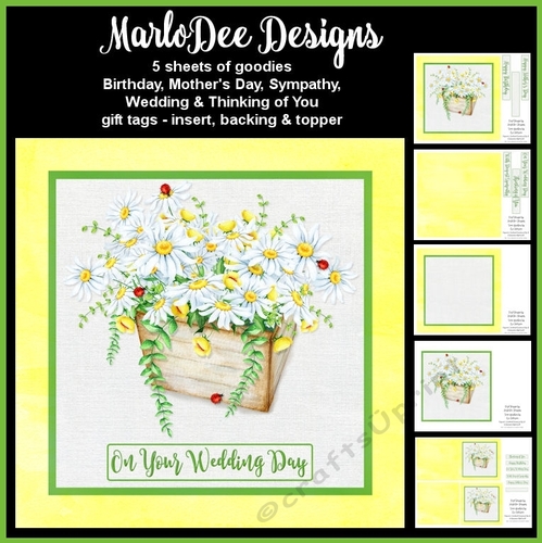 Beautiful Chamomile Flower Basket - Mixed Sentiments Mini Card Kit