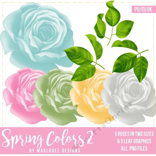 Spring Colors 2 - Rose Graphics