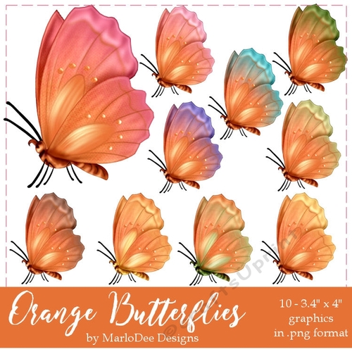 Orange Butterflies 
