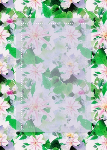 Light Pink Stargazer Lily Flowers with Vertical Sheer Topper - 5x7 Background