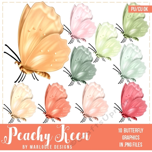 Peachy Keen - Color Palette Design Butterflies