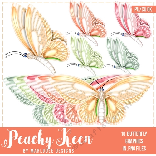 Peachy Keen - Color Palette Design Very Colorful Butterflies