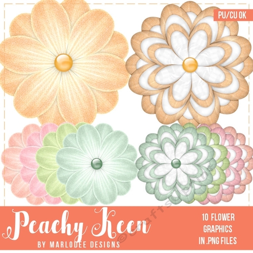 Peachy Keen - Color Palette Unique Flowers