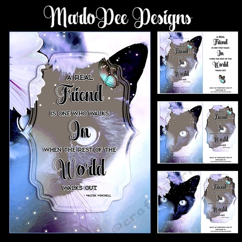 Black Cat Friendship Mini Card Kit