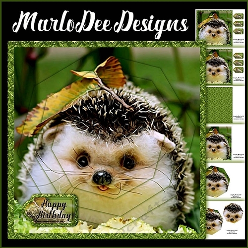 Hedgehog Geometric Layered 8x8 Mini Card Kit