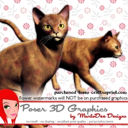 Abyssinian Cat Poser Graphics