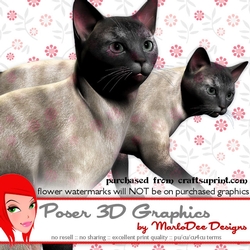 Blue Siamese Cat Poser Graphics