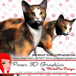 Calico Cat Poser Graphics