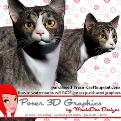 Grey Tabby Cat Poser Graphics