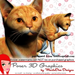 Red Tabby Cat Poser Graphics