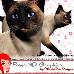 Siamese Cat Poser Graphics