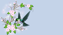 Hummingbird with Pink Flowes on Sunny Day Themed Background