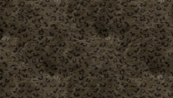 Wild Cat Fur Textured Background