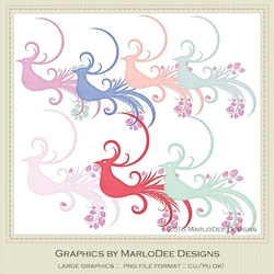 Spring Colors 5 - Peacock Graphics