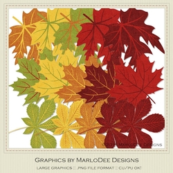 Fall Colors Leaves - FS1