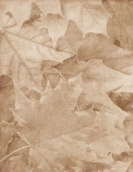 Fall Season Tan Color Leaves Pattern Background {BT}