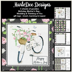 Shabby Chic - Bicycle with Basket of English Roses - Mixed Sentiment Mini Card Kit