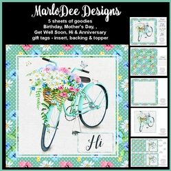 Shabby Chic - Bicycle with Basket of Flowers - Mixed Sentiment Mini Card Kit