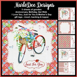 Red Bicycle with Basket of Flowers - Mixed Sentiment Mini Card Kit