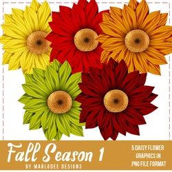 Fall Season Colors 1 - Daisy Flowers | Designer Resource