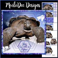 Old Turtle Hexagon Layered Mini Card Kit