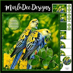 Parakeets Budgies Circle Layered Card Kit