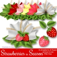 Strawberries in Season - Unique Flowers & Strawberries