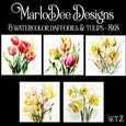 Watercolor Daffodils and Tulips Flowers 8x8 Backgrounds - set 2