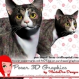 Grey Tabby Cat Poser Graphics