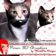 Grey & White Cat Poser Graphics