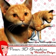 Red Tabby Cat Poser Graphics