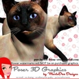 Siamese Cat Poser Graphics