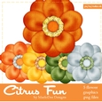 Citrus Fun Colors Flowers pkg1