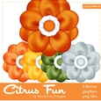 Citrus Fun Colors Flowers pkg2