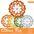 Citrus Fun Colors Flowers pkg3
