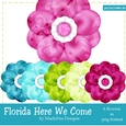 Florida Here We Come Colors - Flower Graphics pkg 1