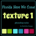 Florida Here We Come Colors Texture Photoshop Styles