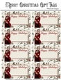 Happy Holidays Gift Tags - Christmas Fantasy Woman Design 2