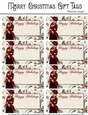 Happy Holidays Gift Tags - Christmas Fantasy Woman Design 4