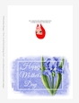 Beautiful Blue Iris Flower | Happy Mothers Day 5x7 Quick Cut & Fold Greeting Card