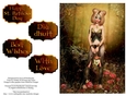 Fantasy Fairy in the Woods - St. Patricks Day, Best Wishes & More Quick Card