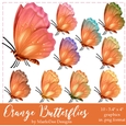 Orange Butterflies