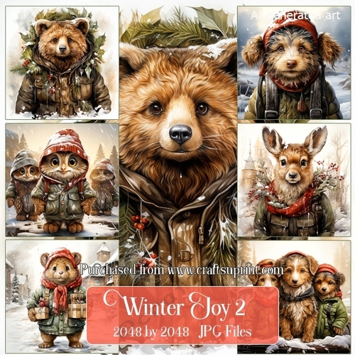 Winter Joy 2