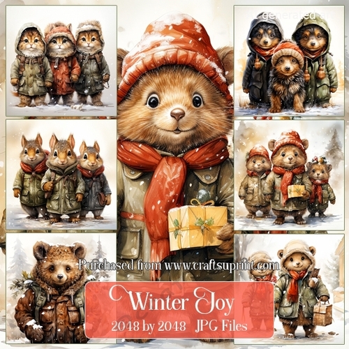 Winter Joy 1
