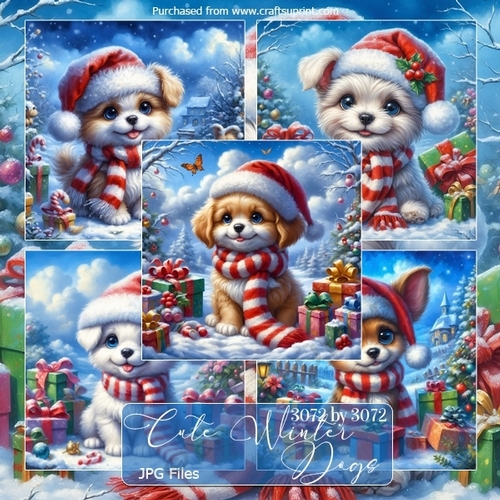 Cute Winter Dogs